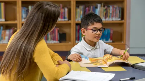 Teen tutoring a child